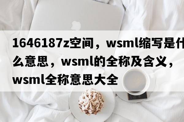 1646187Z空間，wsml縮寫是什么意思，wsml的全稱及含義，wsml全稱意思大全