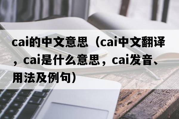 cai的中文意思（cai中文翻譯，cai是什么意思，cai發(fā)音、用法及例句）