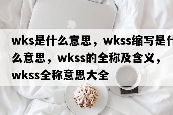 wks是什么意思，wkss縮寫是什么意思，wkss的全稱及含義，wkss全稱意思大全