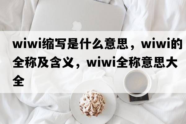 wiwi縮寫是什么意思，wiwi的全稱及含義，wiwi全稱意思大全