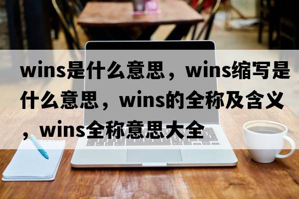 wins是什么意思，wins縮寫(xiě)是什么意思，wins的全稱及含義，wins全稱意思大全