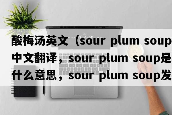 酸梅湯英文（sour plum soup中文翻譯，sour plum soup是什么意思，sour plum soup發(fā)音、用法及例句）