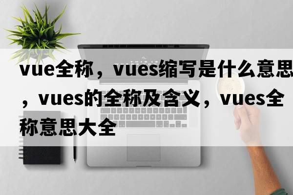 vue全稱，vues縮寫是什么意思，vues的全稱及含義，vues全稱意思大全