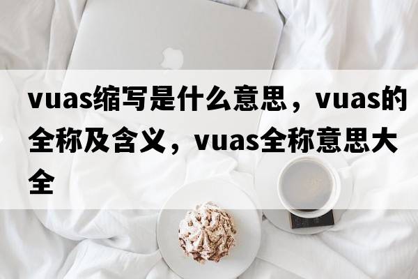 vuas縮寫是什么意思，vuas的全稱及含義，vuas全稱意思大全