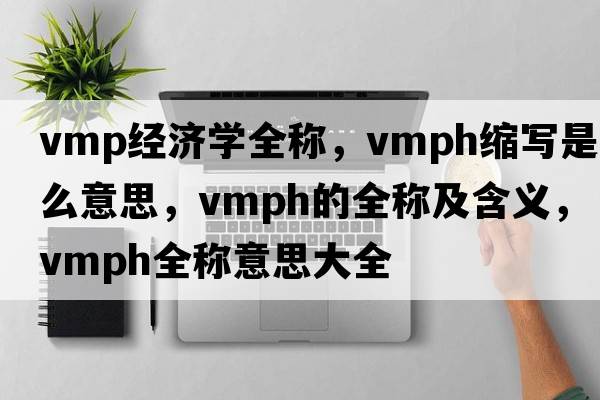 vmp經(jīng)濟(jì)學(xué)全稱，vmph縮寫是什么意思，vmph的全稱及含義，vmph全稱意思大全