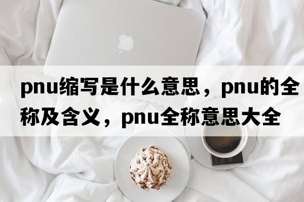 pnu縮寫是什么意思，pnu的全稱及含義，pnu全稱意思大全
