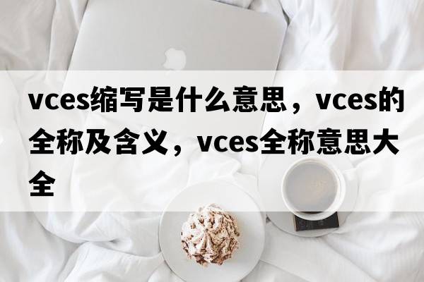 vces縮寫是什么意思，vces的全稱及含義，vces全稱意思大全