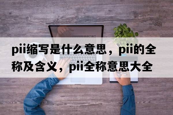 pii縮寫是什么意思，pii的全稱及含義，pii全稱意思大全
