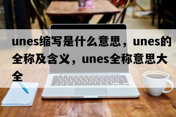 unes縮寫是什么意思，unes的全稱及含義，unes全稱意思大全