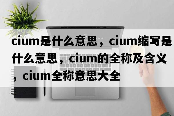 cium是什么意思，cium縮寫是什么意思，cium的全稱及含義，cium全稱意思大全