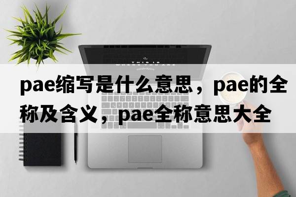 pae縮寫是什么意思，pae的全稱及含義，pae全稱意思大全