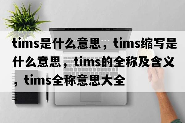 tims是什么意思，tims縮寫是什么意思，tims的全稱及含義，tims全稱意思大全