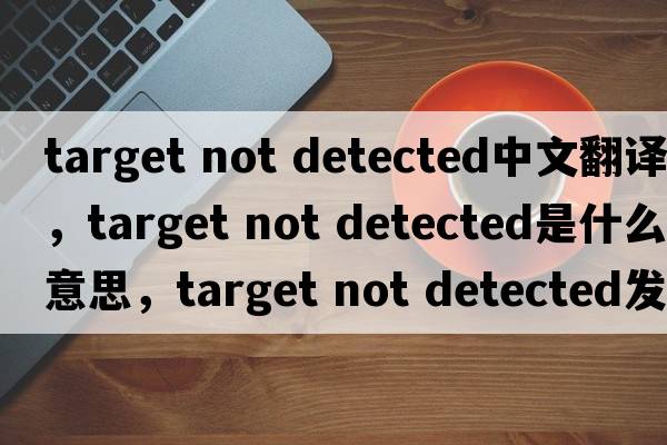 target not detected中文翻譯，target not detected是什么意思，target not detected發(fā)音、用法及例句