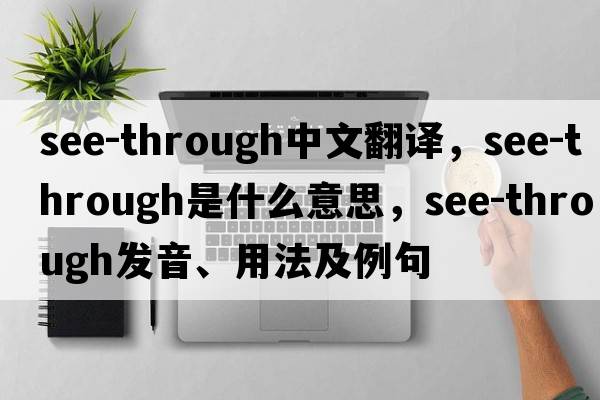 see-through中文翻譯，see-through是什么意思，see-through發(fā)音、用法及例句