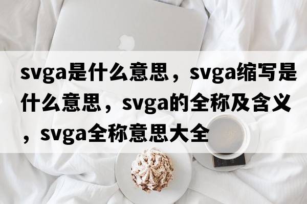 svga是什么意思，svga縮寫是什么意思，svga的全稱及含義，svga全稱意思大全