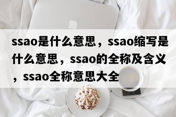 ssao是什么意思，ssao縮寫是什么意思，ssao的全稱及含義，ssao全稱意思大全