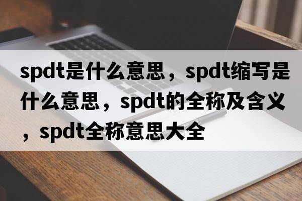 spdt是什么意思，spdt縮寫是什么意思，spdt的全稱及含義，spdt全稱意思大全