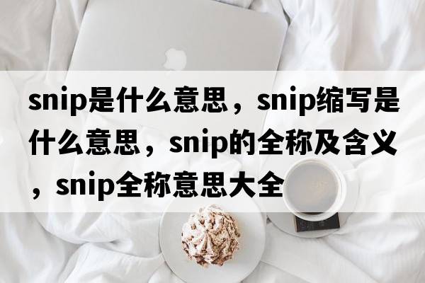 snip是什么意思，snip縮寫(xiě)是什么意思，snip的全稱(chēng)及含義，snip全稱(chēng)意思大全