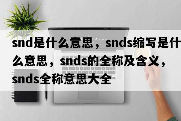 snd是什么意思，snds縮寫是什么意思，snds的全稱及含義，snds全稱意思大全