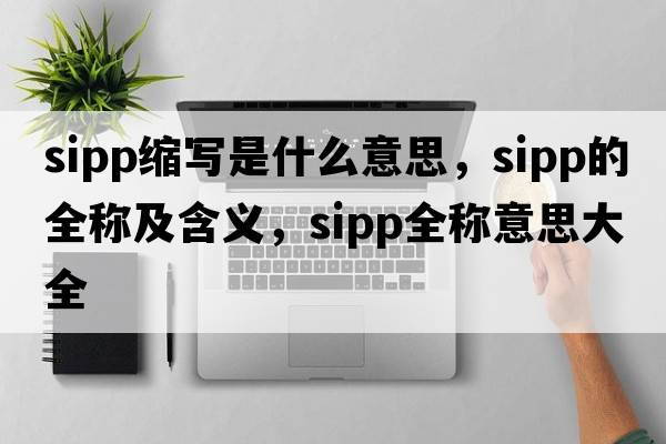 sipp縮寫是什么意思，sipp的全稱及含義，sipp全稱意思大全