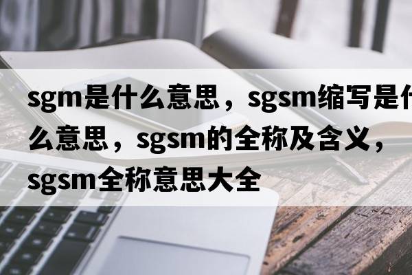 sgm是什么意思，sgsm縮寫是什么意思，sgsm的全稱及含義，sgsm全稱意思大全