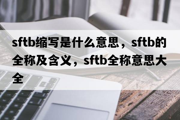 sftb縮寫是什么意思，sftb的全稱及含義，sftb全稱意思大全