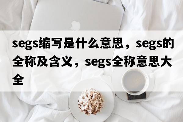 segs縮寫是什么意思，segs的全稱及含義，segs全稱意思大全