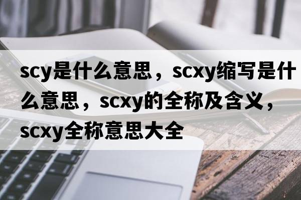 scy是什么意思，scxy縮寫是什么意思，scxy的全稱及含義，scxy全稱意思大全