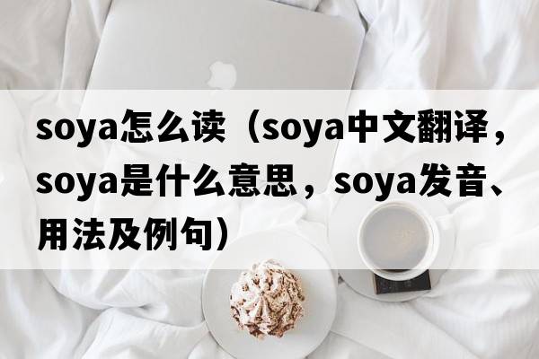soya怎么讀（soya中文翻譯，soya是什么意思，soya發(fā)音、用法及例句）