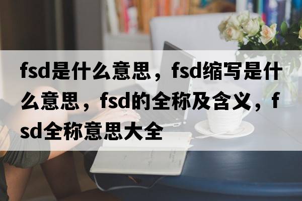 fsd是什么意思，fsd縮寫是什么意思，fsd的全稱及含義，fsd全稱意思大全