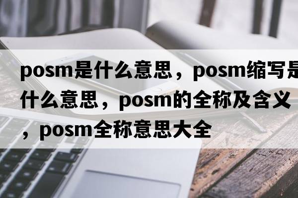 posm是什么意思，posm縮寫是什么意思，posm的全稱及含義，posm全稱意思大全