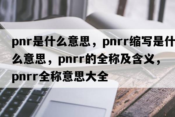 pnr是什么意思，pnrr縮寫是什么意思，pnrr的全稱及含義，pnrr全稱意思大全