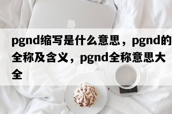 pgnd縮寫(xiě)是什么意思，pgnd的全稱(chēng)及含義，pgnd全稱(chēng)意思大全