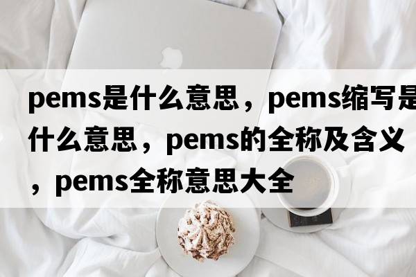 pems是什么意思，pems縮寫是什么意思，pems的全稱及含義，pems全稱意思大全