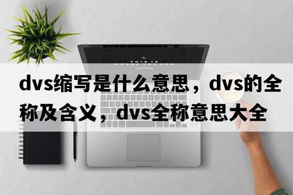 dvs縮寫是什么意思，dvs的全稱及含義，dvs全稱意思大全