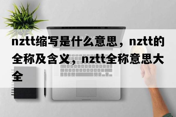 nztt縮寫是什么意思，nztt的全稱及含義，nztt全稱意思大全