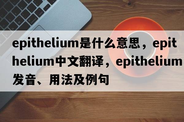 epithelium是什么意思，epithelium中文翻譯，epithelium發(fā)音、用法及例句