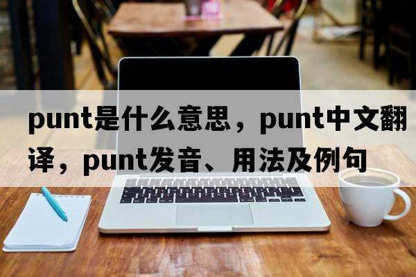 punt是什么意思，punt中文翻譯，punt發(fā)音、用法及例句
