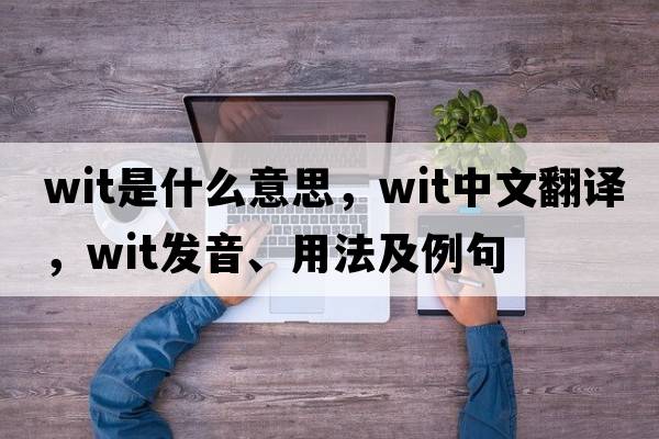 wit是什么意思，wit中文翻譯，wit發(fā)音、用法及例句