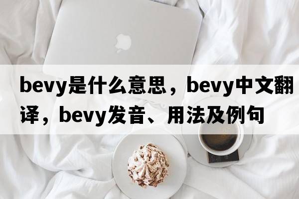 bevy是什么意思，bevy中文翻譯，bevy發(fā)音、用法及例句