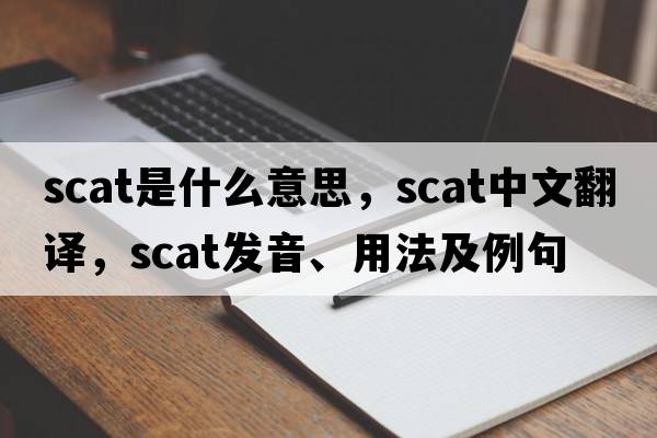 scat是什么意思，scat中文翻譯，scat發(fā)音、用法及例句