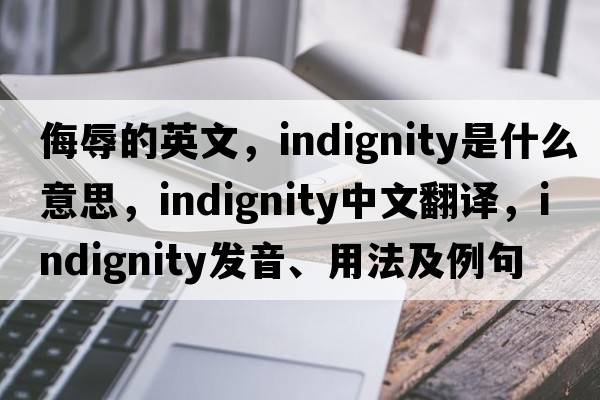 侮辱的英文，indignity是什么意思，indignity中文翻譯，indignity發(fā)音、用法及例句