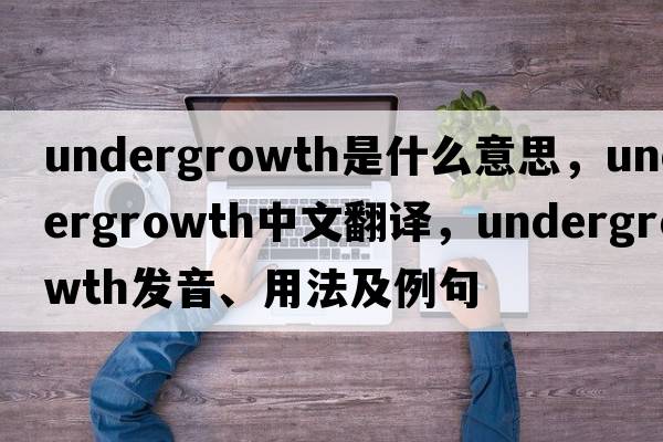 undergrowth是什么意思，undergrowth中文翻譯，undergrowth發(fā)音、用法及例句
