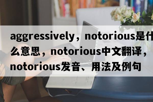 aggressively，notorious是什么意思，notorious中文翻譯，notorious發(fā)音、用法及例句