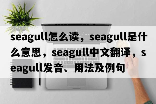 seagull怎么讀，seagull是什么意思，seagull中文翻譯，seagull發(fā)音、用法及例句