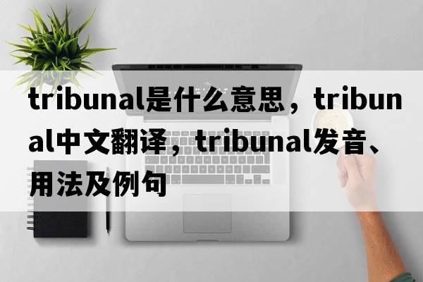 tribunal是什么意思，tribunal中文翻譯，tribunal發(fā)音、用法及例句