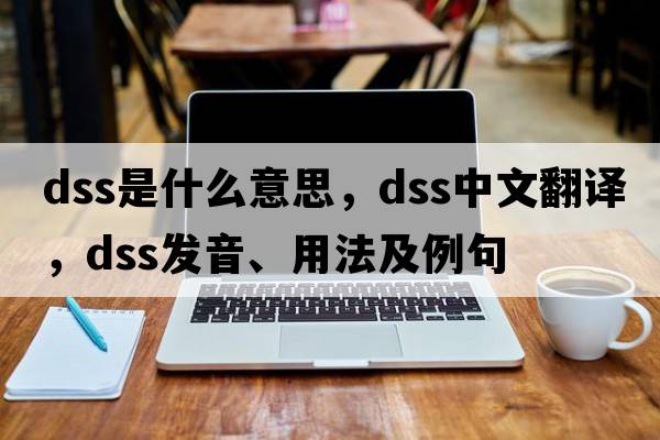 DSS是什么意思，DSS中文翻譯，DSS發(fā)音、用法及例句