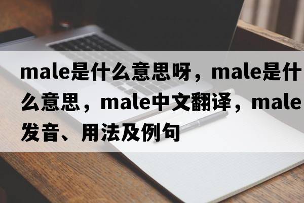 male是什么意思呀，male是什么意思，male中文翻譯，male發(fā)音、用法及例句