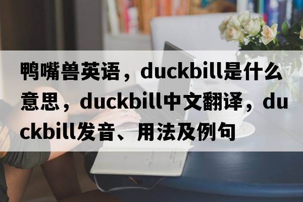 鴨嘴獸英語(yǔ)，duckbill是什么意思，duckbill中文翻譯，duckbill發(fā)音、用法及例句