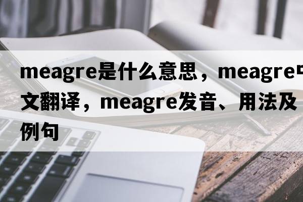 meagre是什么意思，meagre中文翻譯，meagre發(fā)音、用法及例句